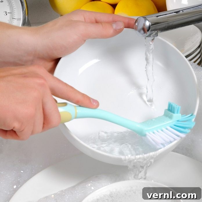 Mastering Dish Scrubber Hygiene 2 dish scrubber and soap