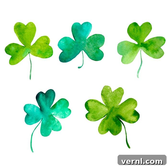 Shamrocks and Four Leaf Clovers Unpacking Their True Distinctions 2 clover