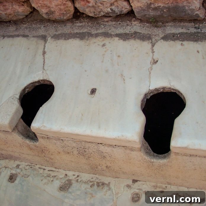 The Unexpected History of the Toilet Seat 2 toilet