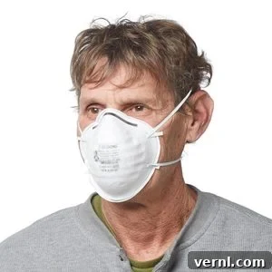 standard disposable N95 dust mask
