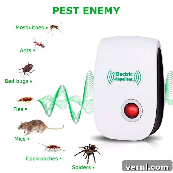Pest Control
