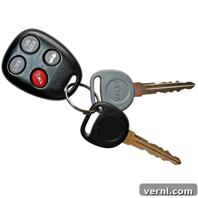 Unlocking the Risks of Your Valet Key 2 valet key