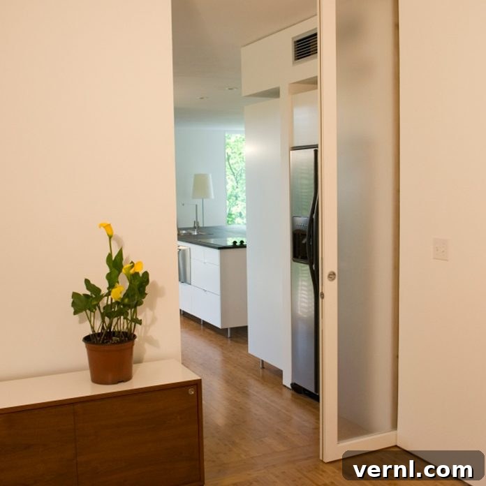 Pocket Doors Defined Your Essential Guide 2 Sleek pocket door blending into a modern wall