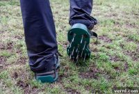 Lawn Aerator Shoes Fact or Fiction
