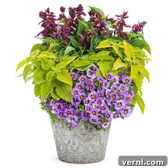 Dynamic Duos: Two Container Combos for Hummingbird Delight 3 blooms