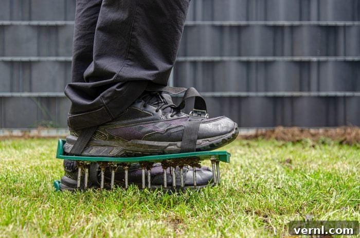 Close-up of lawn aerating shoes with metal spikes