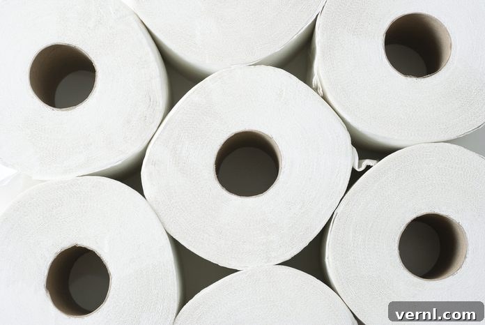 Flush With Confidence: Toilet Paper That Won't Clog 2 roll of toilet paper