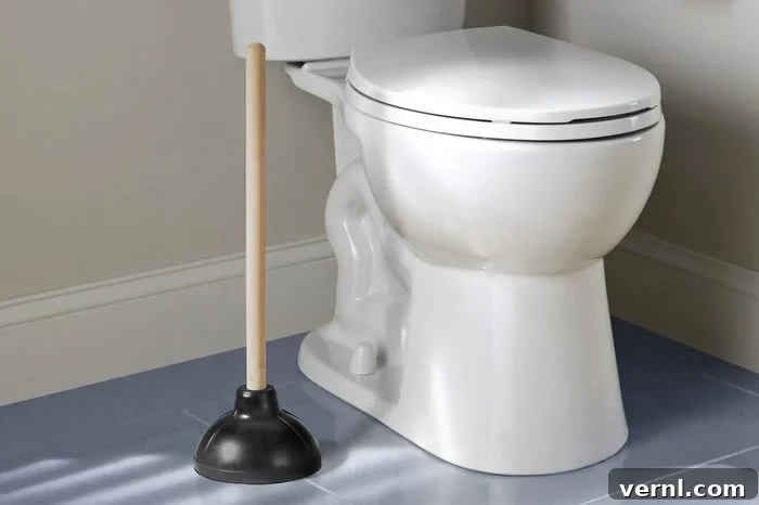 Bodrumdaki Lağım Kokusuna Kesin Çözüm 4 Toilet plunger beside toilet in bathroom