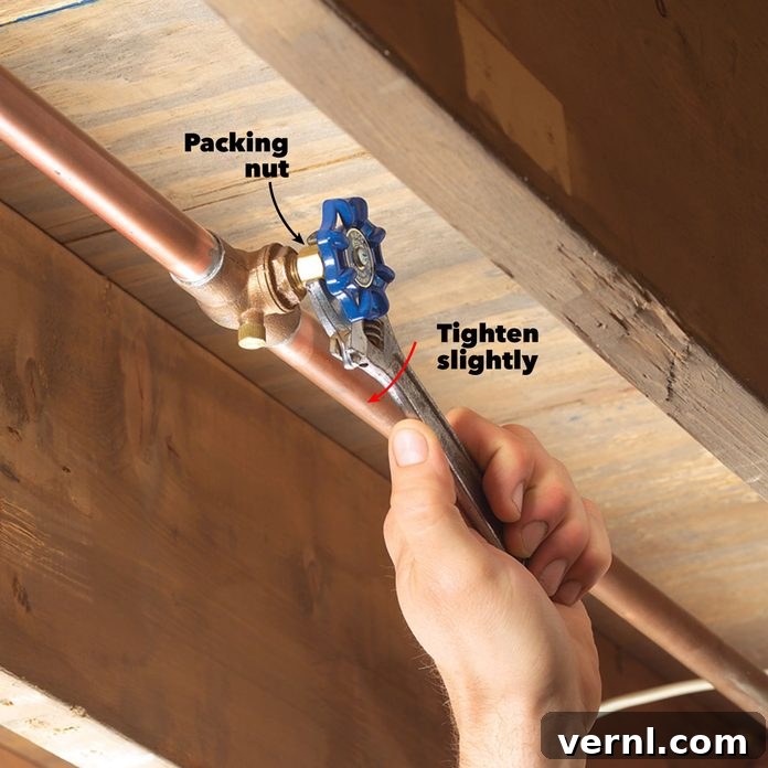 Fixing a leaky water shutoff valve by tightening the packing nut