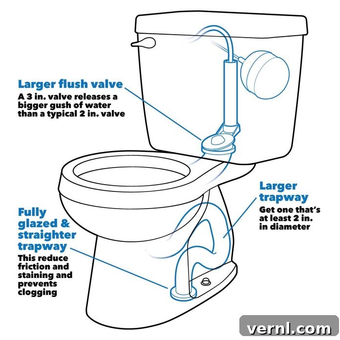 The Ultimate Toilet Buying Guide for Your Home 2 Anatomy of a toilet, highlighting key components for buying tips.