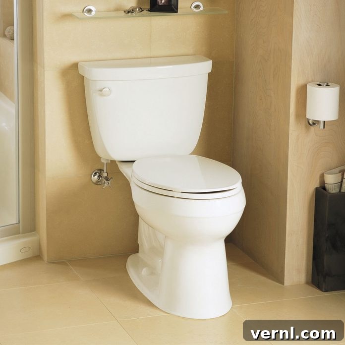 The Ultimate Toilet Buying Guide for Your Home 3 Kohler Cimarron Comfort Height Toilet, a recommended model.