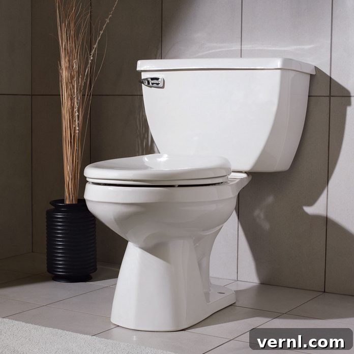 The Ultimate Toilet Buying Guide for Your Home 4 Gerber Ultra Flush Pressure-Assist Toilet, known for powerful flushing.