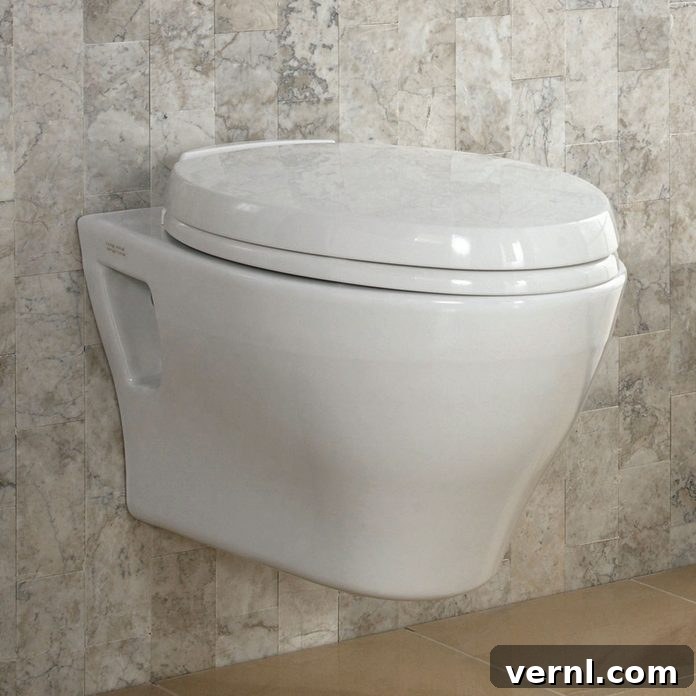 The Ultimate Toilet Buying Guide for Your Home 5 Toto Aquia Wall-Hung Toilet, an example of modern design.