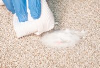 Unveiling the Secrets to Pristine Carpets: Blood Stain Erasure