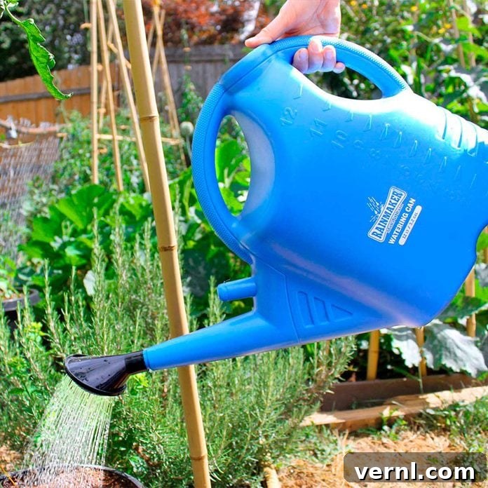 Cold Snap Defense: Protecting Your Plants from Frost 4 Rainmaker watering can
