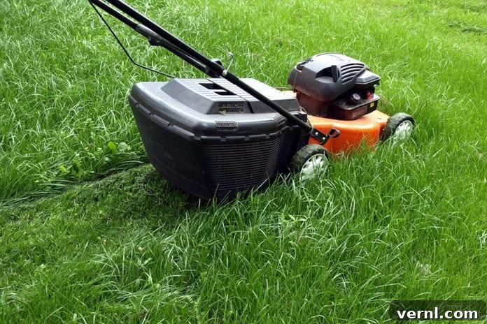 When to Retire Your Mower for the Fall Season 2 Autumn Lawn Care