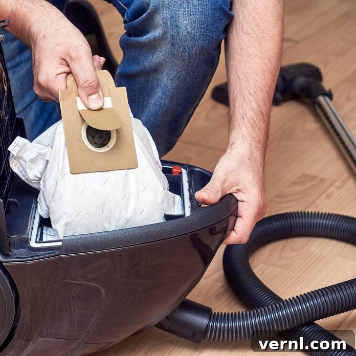 Your Home's 7 Essential Filters: When to Replace Them for Peak Performance 2 vacuum