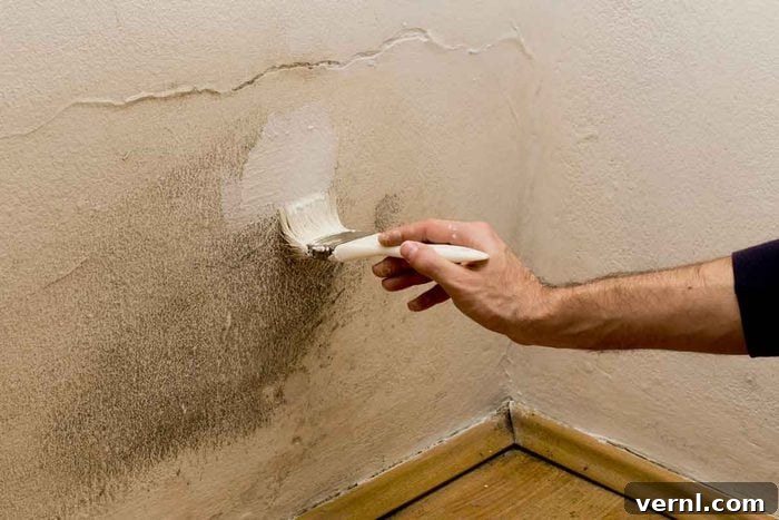 Fresh paint covering a suspicious area on a wall or ceiling