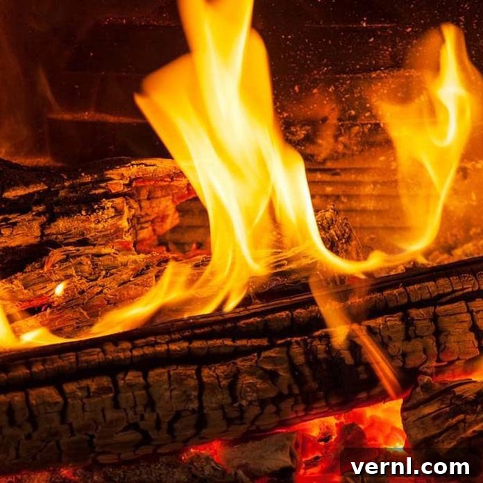 From Lint Trap to Lush Landscape Repurpose Dryer Lint for Your Garden 2 A cozy fireplace with glowing embers, symbolizing warmth and the act of starting a fire