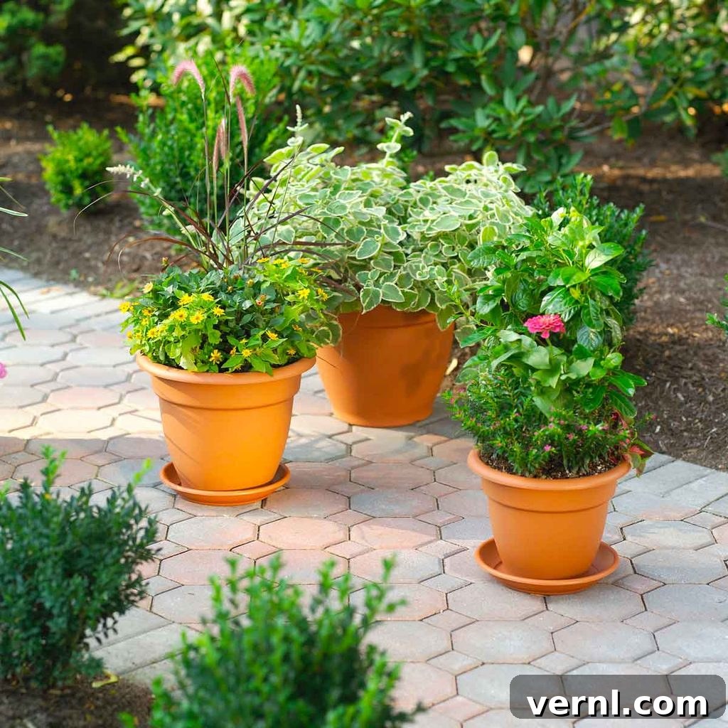 From Lint Trap to Lush Landscape Repurpose Dryer Lint for Your Garden 8 A terracotta plant pot on a stone surface, emphasizing container gardening