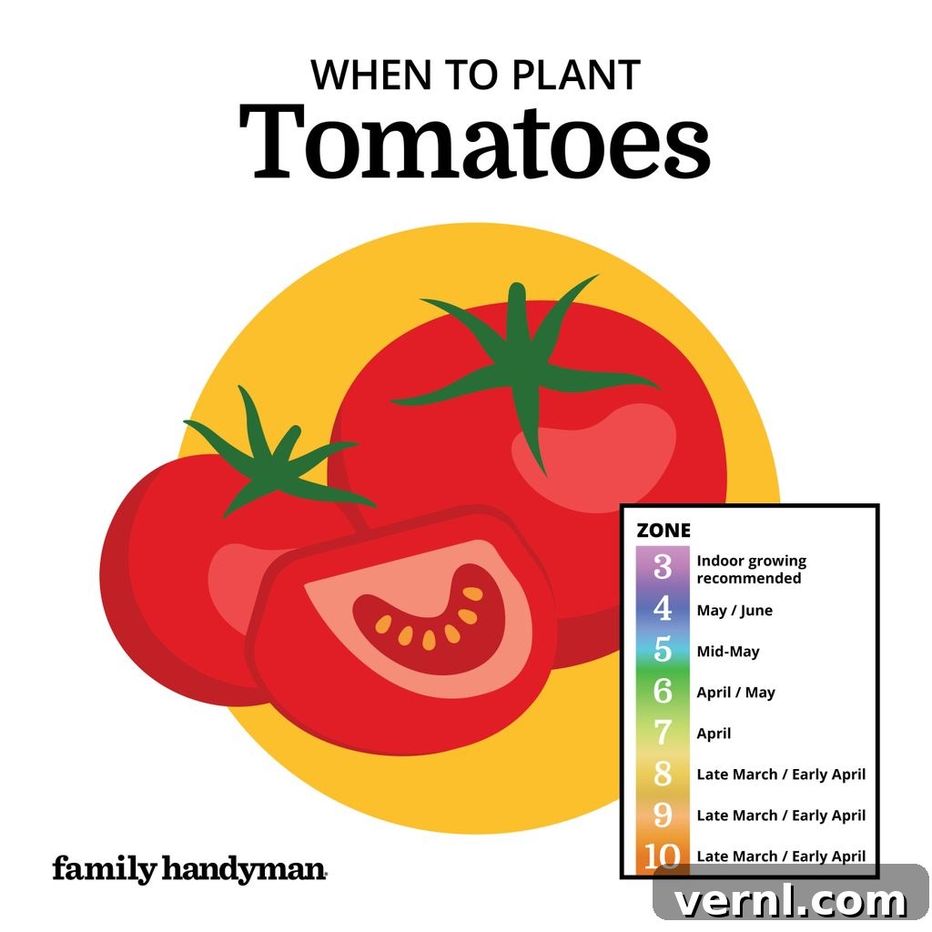 The Smart Gardener's Planting Calendar 2 Ripe red tomatoes growing on the vine in a garden.