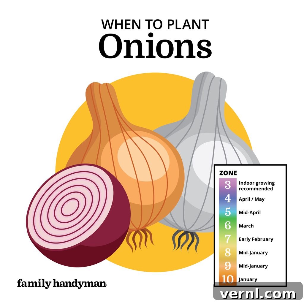 The Smart Gardener's Planting Calendar 4 Row of green onion shoots emerging from the soil.