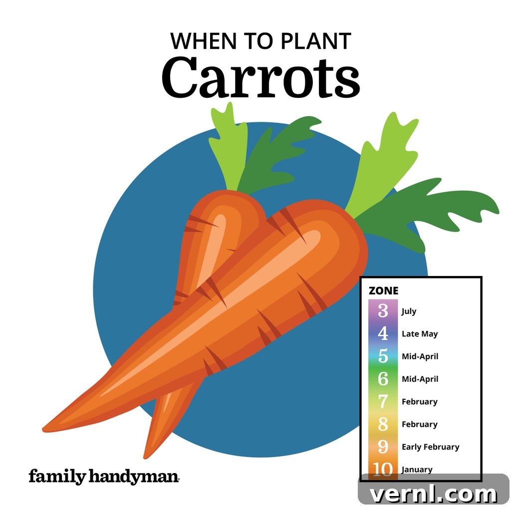 The Smart Gardener's Planting Calendar 5 Colorful carrots freshly pulled from the garden soil.