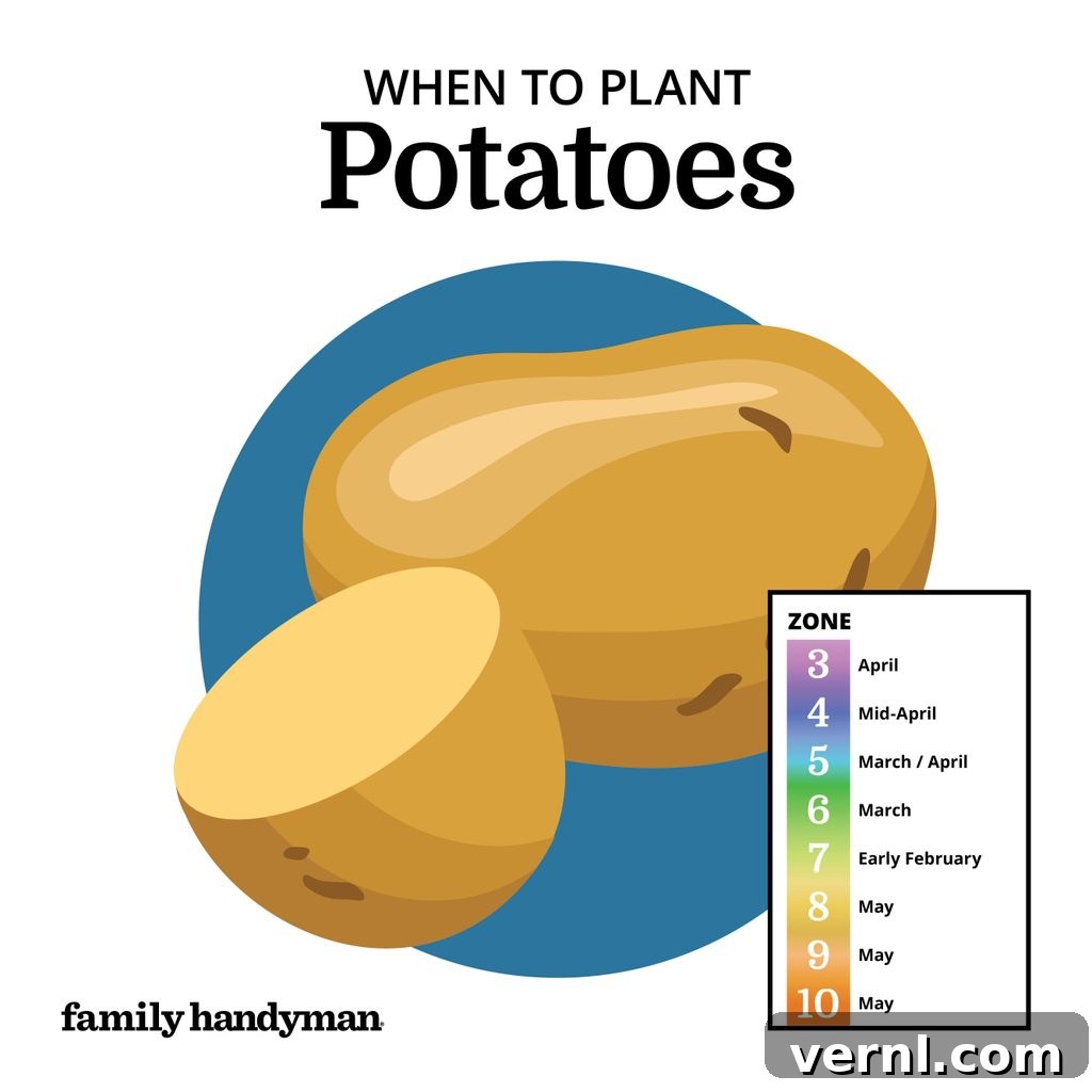 The Smart Gardener's Planting Calendar 9 Freshly dug potatoes resting on garden soil.