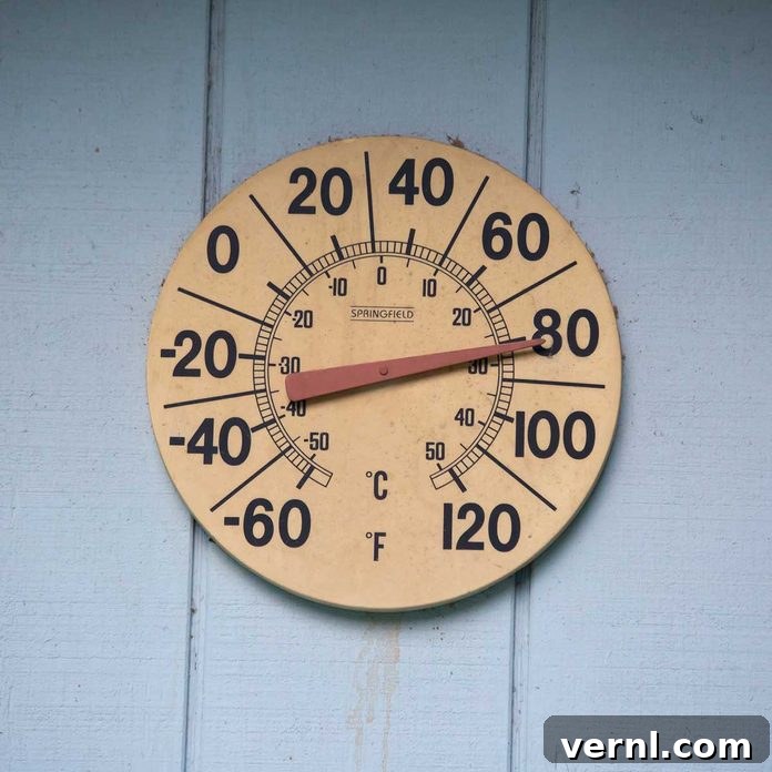 Exterior Wall Thermometer
