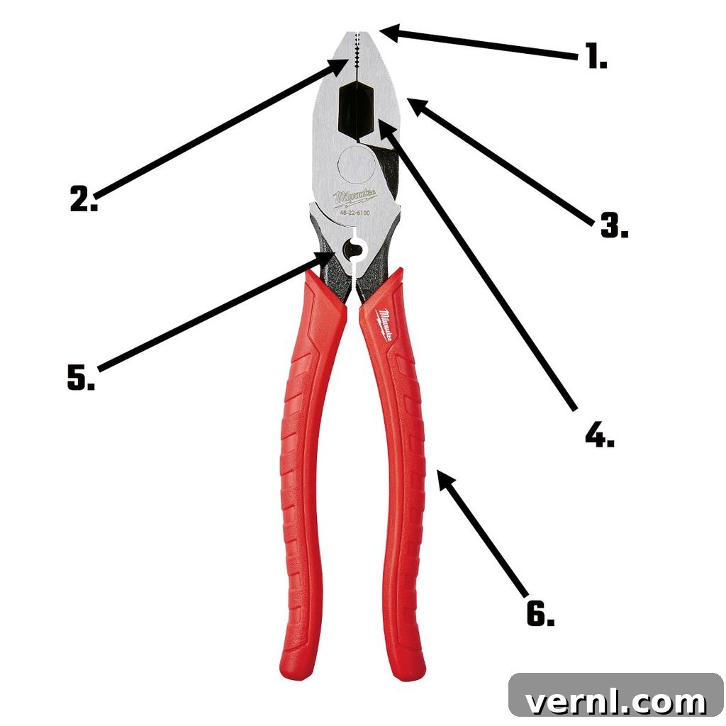 A comprehensive diagram labeling the key components of a lineman's pliers, including nose, gripping surfaces, cutters, and handles.