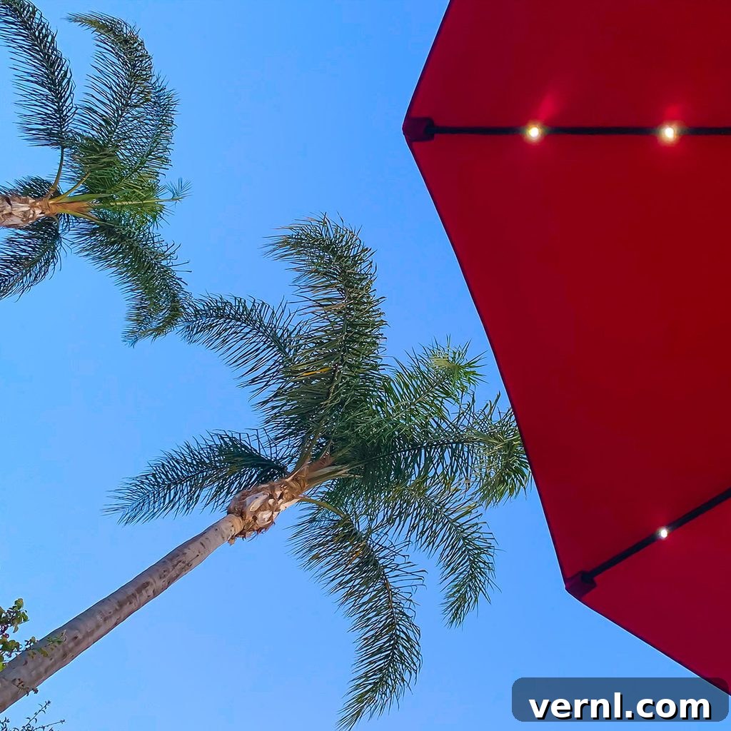 Solar Umbrellas: A Comprehensive Guide 2 Solar Umbrella in garden