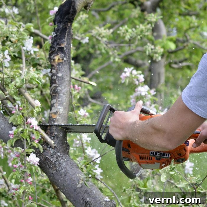 How to Choose the Right Chainsaw 3 Gettyimages 1198802364