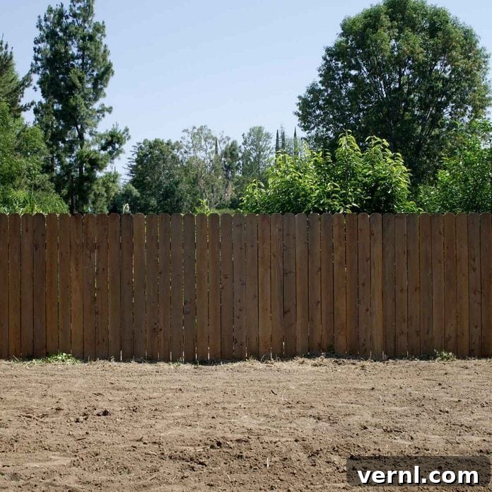 Transform Your Yard The Ultimate Guide to Grass Removal 2 Lawn with no grass
