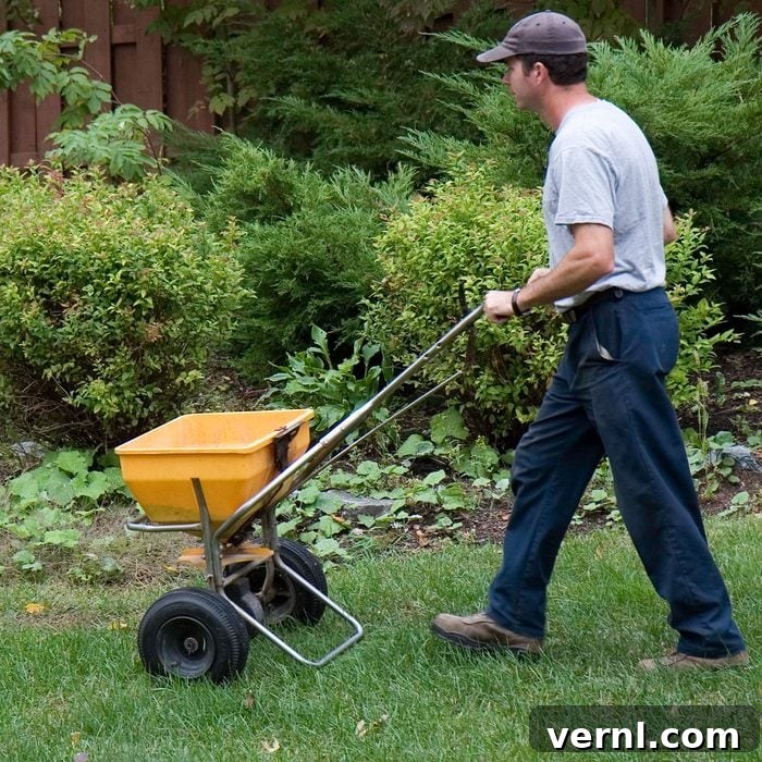 The Truth About Winter Fertilizing 2 Gettyimages 185085597