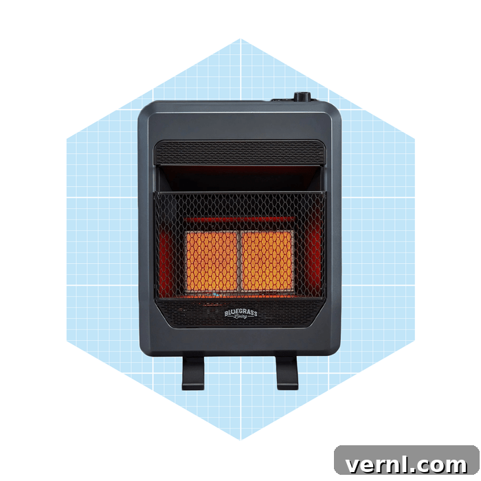 Bluegrass Living Propane Gas Space Heater Ecomm Via Homedepot