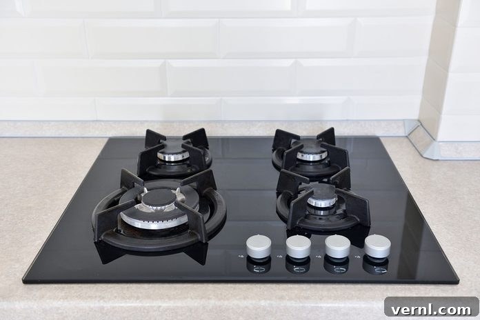 Gas Stove 
