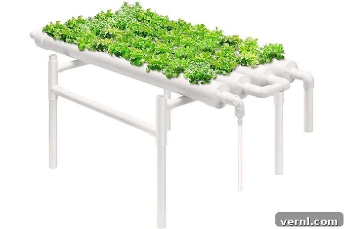 The Essential Guide to Hydroponic Gardening 2 Hydroponic Garden Table
