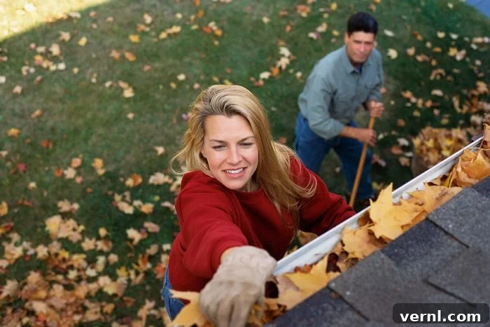 Professional versus DIY Gutter Cleaning Costs 2 Couple Cleaning Away Leaves