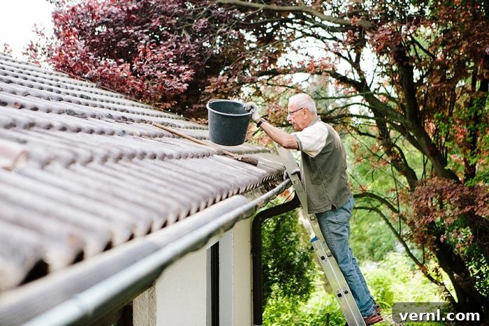 Professional versus DIY Gutter Cleaning Costs 3 Senior Man Stands On Ladder And Cleans A Roof Gutter