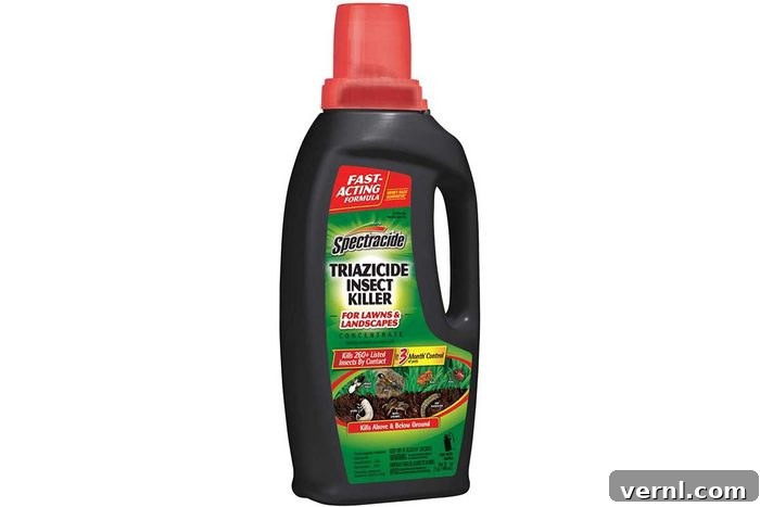 Eliminating Leaf Beetles from Your Garden 2 Leaf Beetle Killer