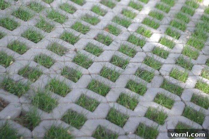 Driveway Decisions: A Homeowner's Guide to Paving Options 8 Turf Pavers