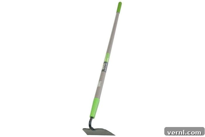 Mastering Your Garden Picking the Right Hoe 2 Classic Paddle Hoe for Drawing and Mounding Soil