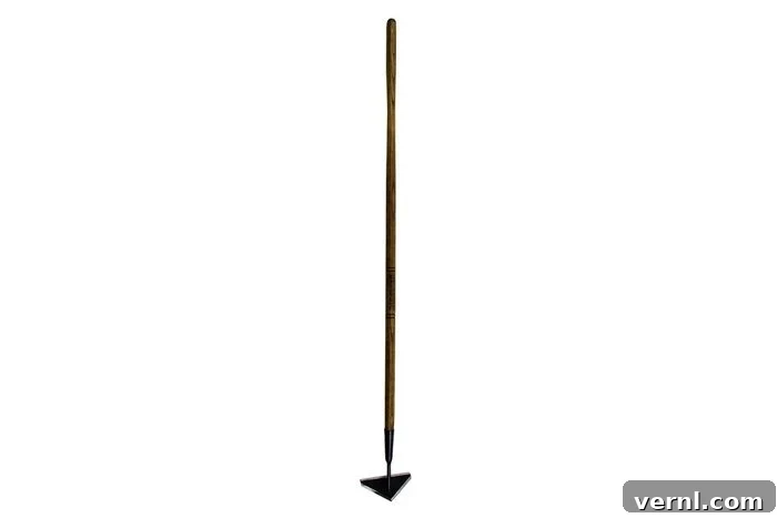 Mastering Your Garden Picking the Right Hoe 6 Push Hoe for Shallow Tilling and Uprooting Small Weeds