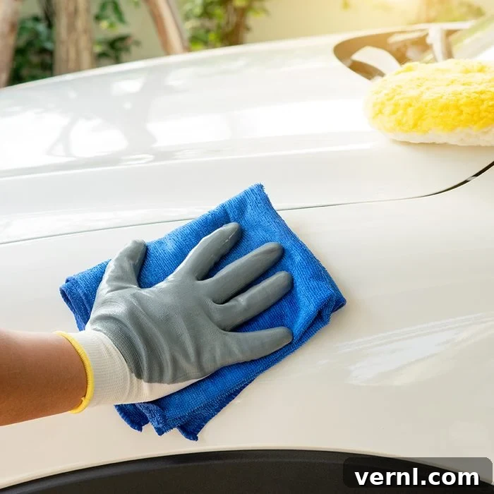 DIY vs. Pro Car Detailing: The Ultimate Cost Comparison 2 Car Detailing