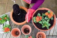 Smart Drainage Solutions for Potted Plants