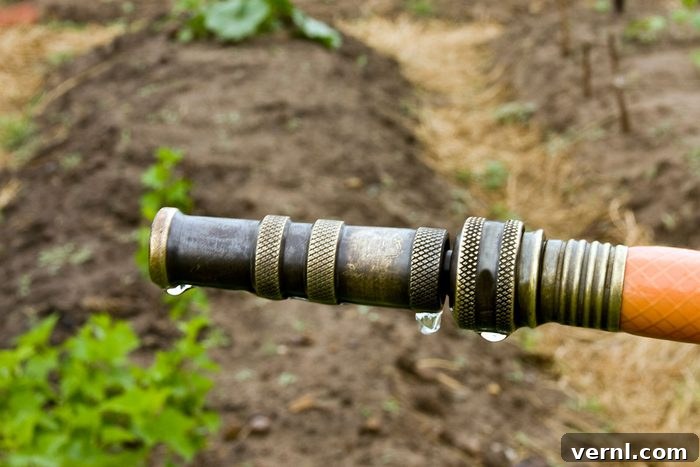 Don't Get Soaked: Your Essential Guide to Buying the Best Garden Hose 2 Brass Hose Nozzle