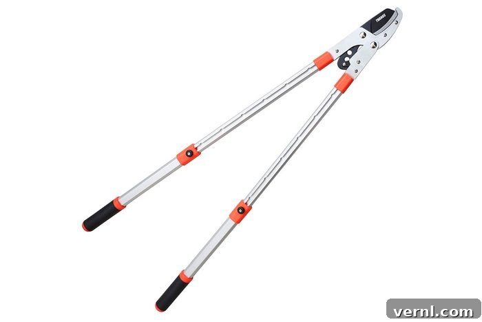 Your Essential Guide to Tree Pruning Tools 2 THANOS Extendable Anvil Loppers