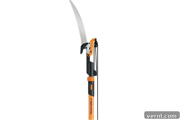 Your Essential Guide to Tree Pruning Tools 3 Fiskars Power-Lever Extendable Tree Pruner