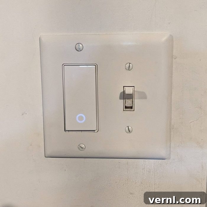 Kasa Smart Switches: A Brilliant Upgrade for Your Home Lighting 3 Kasa smart switch gang with toggle switch
