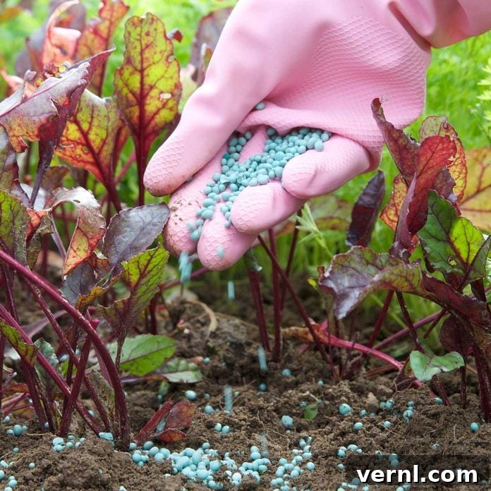 Winterize Your Lawn: The Essential Guide for a Healthy Spring 3 Garden Fertilizer